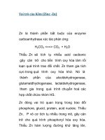 Vai trò của Kẽm (Zinc -Zn) potx