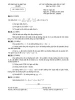 DỀ +DA CHI TIẾT TOÁN VÀO 10 TP HÀ NỘI 2010