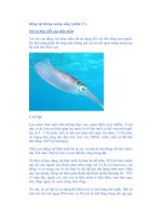 Động vật không xương sống ( phần 27 ) Giá trị thực tiễn của thân mềm pptx