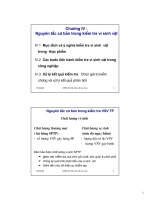 Nguyên tắc cơ bản trong kiểm tra vi sinh vật potx