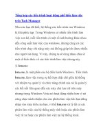 Tổng hợp các tiến trình hoạt động phổ biến làm việc trên Task Manager pptx