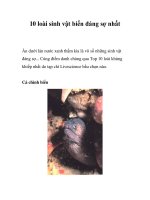 10 loài sinh vật biển đáng sợ nhất ppt