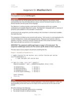 Assignment 1B Doll/Cannistraro pptx