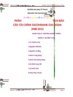 PHÂN TÍCH BÁO CÁO TÀI CHÍNH SACOMBANK GIAI ĐOẠN 20082012