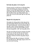 Kỹ thuật cấy ghép vi mô nang tóc pot