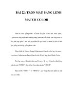 BÀI 22: TRỘN MÀU BẰNG LỆNH MATCH COLOR pps
