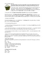 CÂU TƯỜNG THUẬT