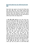 Quá trình phân hủy các chất trong hệ sinh thái pot