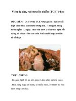 Viêm dạ dày, ruột truyền nhiễm (TGE) ở heo pot