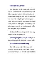 NHÂN GIỐNG VÔ TÍNH pps