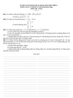 TS 10 DaNang co DA ( 2010 2011)