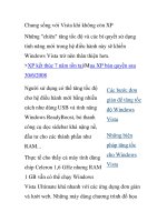 Chung sống với Vista khi không còn XP pot