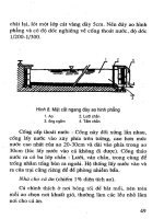 Ngư Nghiệp - Cá Quả, Cá Chình, Cá Chạch phần 5 pdf