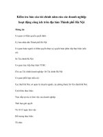 Kiểm tra báo cáo tài chính năm của các doanh nghiệp hoạt động công ích trên địa bàn Thành phố Hà Nội potx