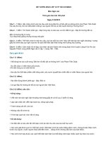 DE VAN vao 10 TPHCM (10-11)