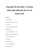 Cấp phát thẻ bảo hiểm y tế khám chữa bệnh miễn phí cho trẻ em dưới 6 tuổi pptx