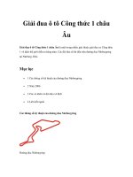 Giải đua ô tô Công thức 1 châu Âu doc