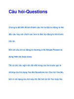 Câu hỏi-Questions pptx