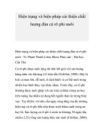 Hiện trạng và biện pháp cải thiện chất lượng đàn cá rô phi nuôi potx