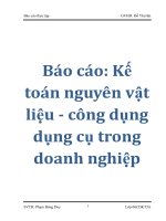 Báo cáo: Kế toán nguyên vật liệu - công dụng dụng cụ trong doanh nghiệp doc