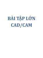 BÀI TẬP LỚN CAD/CAM pps