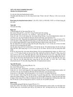 Viên nén Dexclorpheniramin pptx