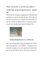 Mười vạn câu hỏi vì sao Hóa học, phần 13 pps