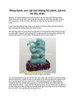 Rồng Xanh, con vật linh thiêng hộ mệnh, sát trừ kẻ tiểu nhân potx