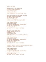 lời bài hát to love you more