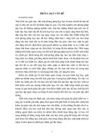 SKKN Ngữ văn cực hay !