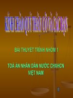 BÀI THUYẾT TRÌNH TOÀ ÁN NHÂN DÂN NƯỚC CHXHCN VIỆT NAM pptx