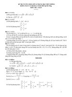 TSL10 Toan Đà Nẵng 10-11