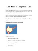 Giải đua ô tô Công thức 1 Đức pot