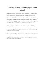 FileWing – “2 trong 1” để khôi phục và xóa file triệt để doc