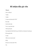 Bổ nhiệm đấu giá viên ppsx