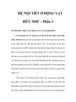 HỆ NỘI TIẾT Ở ÐỘNG VẬT HỮU NHŨ – Phần 3 doc
