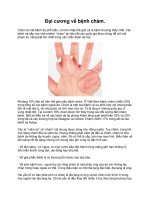 Đại cương về bệnh chàm ppt