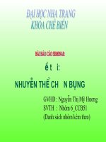 Bài báo cáo đề tài 