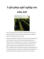 5 giải pháp nghề nghiệp cho năm mới pdf