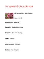 TỪ VỰNG VỀ CÁC LOÀI HOA pps