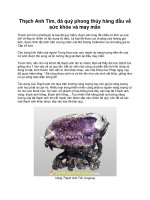 Thạch Anh Tím, đá quý phong thủy hàng đầu về sức khỏe và may mắn pot