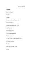 Hoãn thi hành án ppsx