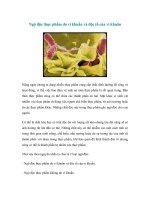 Ngộ độc thực phẩm do vi khuẩn và độc tố của vi khuẩn ppt