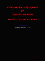 An Introduction to SQL Injection BY DAPIRATES & UNDERC LOSSIE I.T SECURITY FORUMS doc