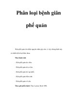 Phân loại bệnh giãn phế quản pot
