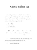 Các bài thuốc cố sáp T pdf