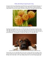 Những dị nguyên gây dị ứng