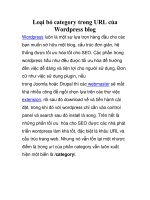 Loại bỏ category trong URL của Wordpress blog potx