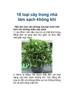 10 loại cây trong nhà làm sạch không khí ppt
