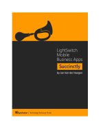 Light Switch Mobile Business Apps Succinctly by Jan Van der Haegen